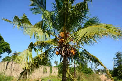 DSC_8315 (Large).JPG